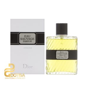 عطر ادکلن دیور او ساواج پرفیوم ۲۰۱۷