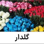 نت گلدار