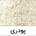 نت پودری
