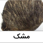 نت مشک دار